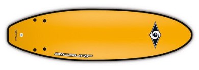 tabla de surf bicsurf