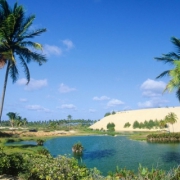playa con palmeras brasileñas